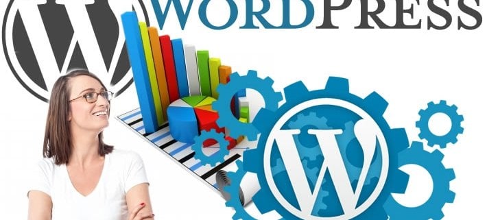 13-astonishing-wordpress-statistics