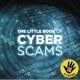 The Little Book of Cyber Scams